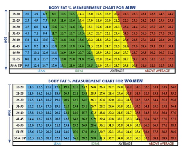 My Weight (and then Fat) Loss Journey | Empowering individuals to